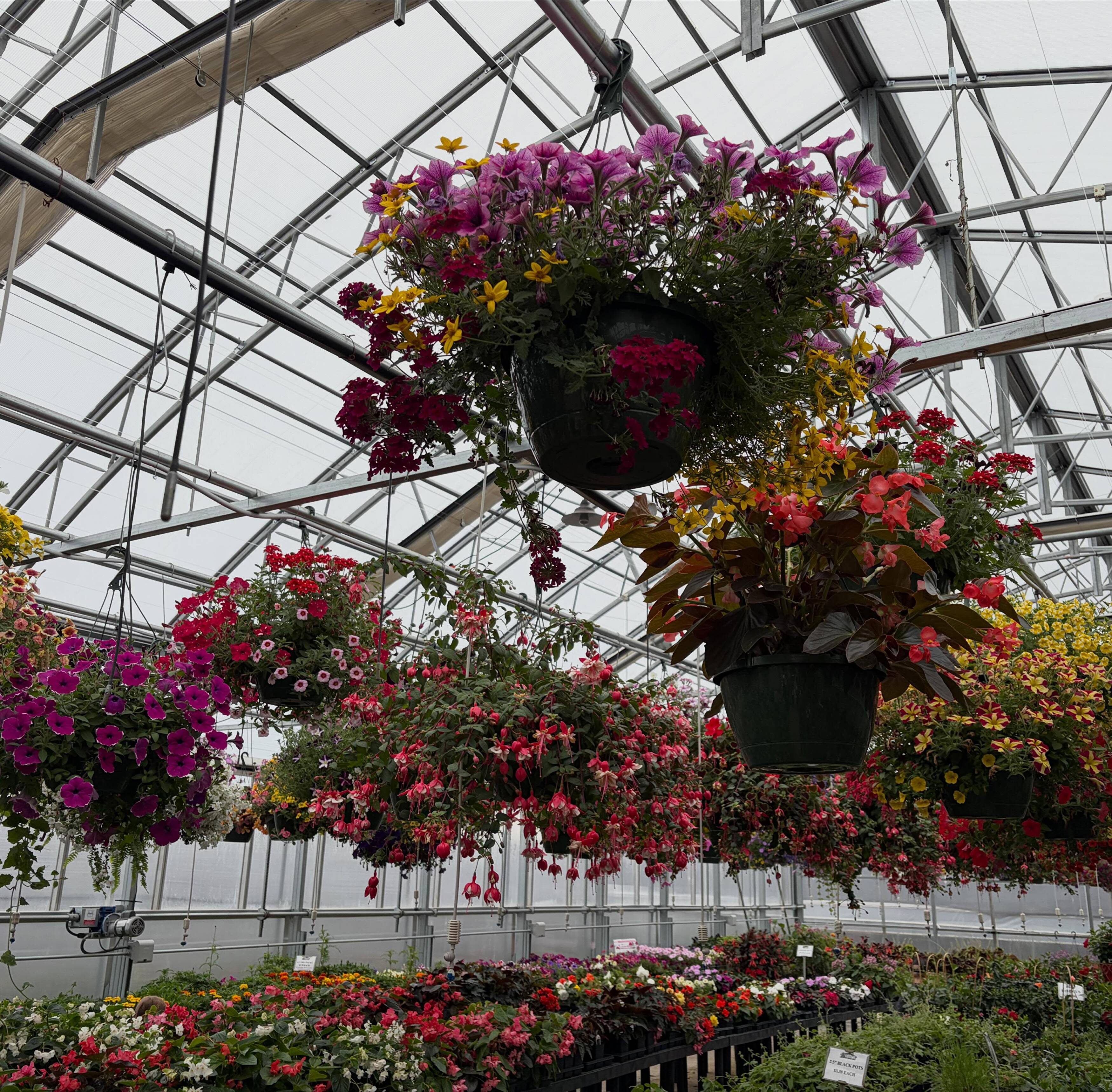 Home | Hanson's Garden Village